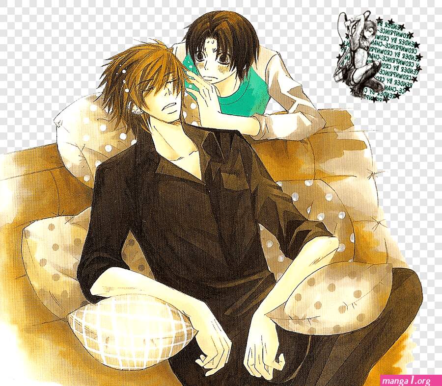 hero acedemia manga bl