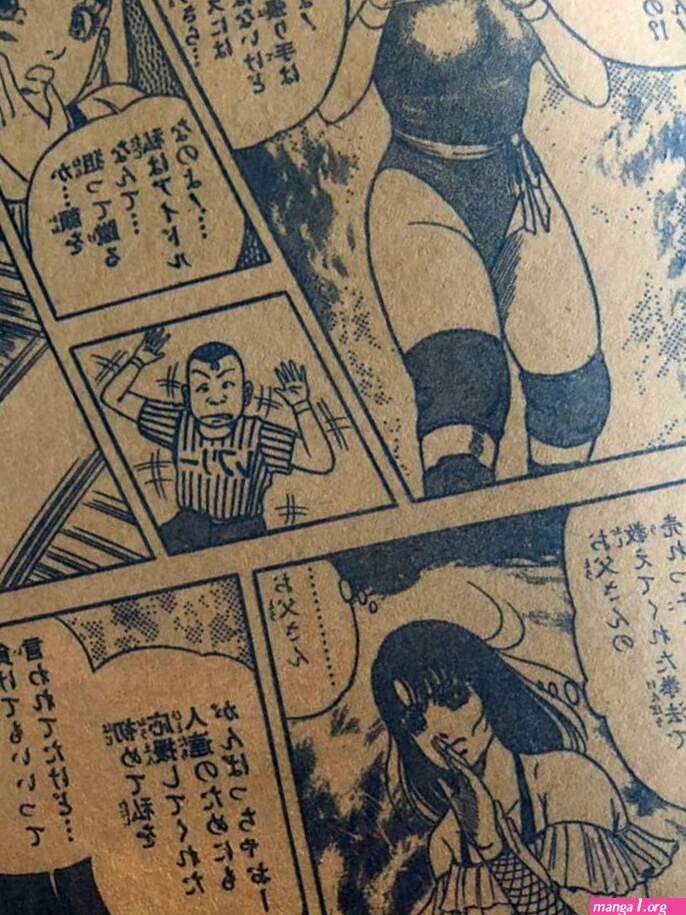 Amazon.co.jp: Wrestling Manga Catfight Womens Martial Arts Manga Magazine : Toys Games