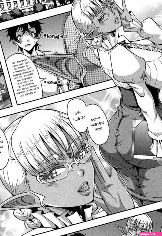 Elf Harem Academia