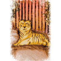 emperador mágico manga tigre