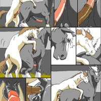 feral couples:stallion