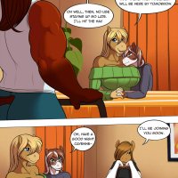 feral couples:stallion