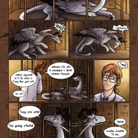 feral couples:stallion
