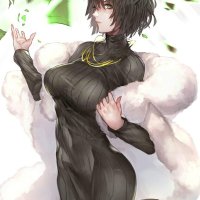 one punch inmanga