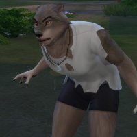 read my werewolf system