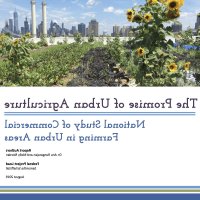 romance of a lucky farmer chapter 209