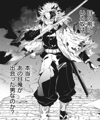 brought this demon manga