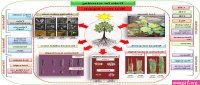 ler manhwa evolution begins with a big tree