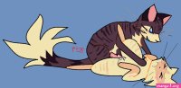 Rule 34 cat
