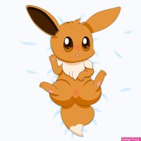 Pokemon rule 34 eevee