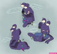 Rule 34