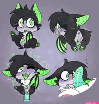 4183907