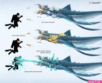 Robin subnautica