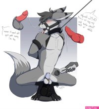 Rule 34
