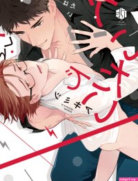 Fanboy Troubles Yaoi Smut Sex Toys Manga