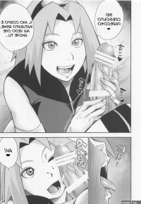 Sakura Archivi