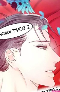 An Immoral Night