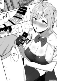 Fuuki Iin to Fuuzoku Katsudou