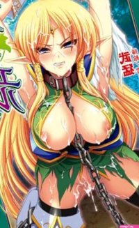 Princess Swordsman Elfsophiel Cloudy fertilized bride Slave 2d Dream Nobels 305 JAPANESE ADULT HENTAI MANGA: Wu Me: 9784860328603: : Books