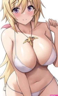 Charlotte Dunois Infinite Stratos free hentai porno xxx comics rule34 nude art at HentaiLib.net