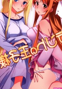 USED Hentai Doujinshi
