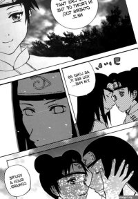 Ninja Girls Diary