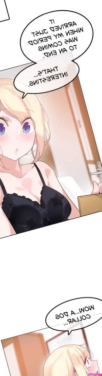 A Perverts Daily Life