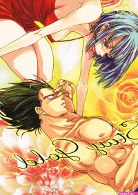 DBZ Hentai Doujinshi