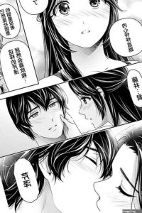 - Domestic Na Kanojo