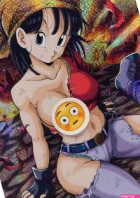 Dragon Ball Z Sexy Card Pan Trading Game Edition 13