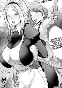 Onesota The Elf Maid And The Little Boy Growing Up English Pluto