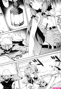 C95 Nameless GuiZhenCao Moshi Onna Seirei ga Goblin ni Tsukamattara... Goblin Slayer English tracesnull