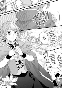E-Rank Healer