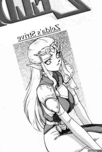 Legend of Zelda Zeldas Strive Rewrite