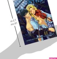 Yaoi Hentai Volume 2 YAOI HENTAI GN: Abraham Yamila Yen Moon Abraham Yamila Reimoz Laila Kosaru Studio Studios Yishan: 9781933664019: : Books