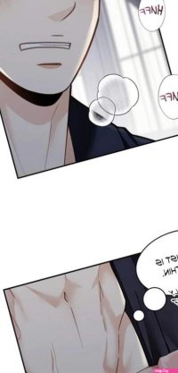 Yaoi