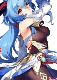 Genshin Impact...
