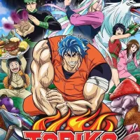 Toriko Manga