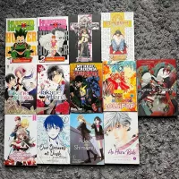 Large Manga Lot