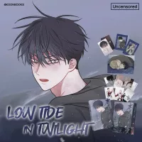 Low Tide in Twilight