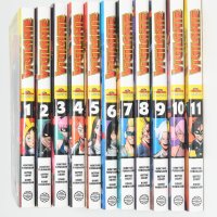 MANGA MY HERO ACADEMIA VIGILANTE 11 TOMOS BILBOTRUKE SEGUNDA MANO