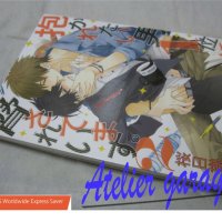 USED Dakaretai Otoko No.1-i ni Odosareteimasu Vol.2 Japanese Manga