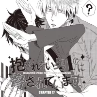 Dakaretai Otoko No.1 ni Odosareteimasu Official version