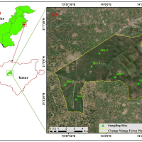 Ecological Distribution Patterns and Indicator Species Analysis of Climber Plants in Changa Manga Forest Plantation