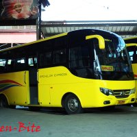 Bachelor Express