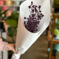 Strilingia Market Bunch