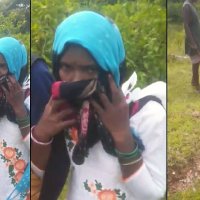 Jangal Me Mangal! leaked XXX Desi mms naughty couple caught on camera