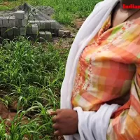 Jungle Pe Mangal Sumitha Bhabi Ki Devar Ka Land Se Pani Nikal Diya Blowing Cock Extreme Sex XXX Clear Audio