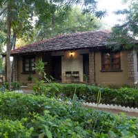 jungle me mangal excellent place to stay