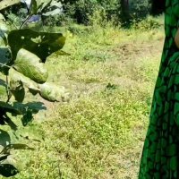 Jungle mein Mangal with girlfriend watch online